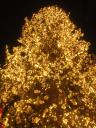 pict0034.jpg